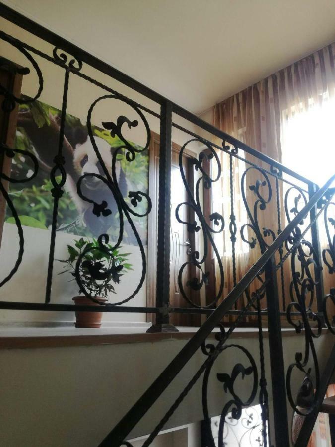 Happy Pandasn12 Hotel Borjomi Exterior foto